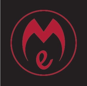 モータ：Motenergy